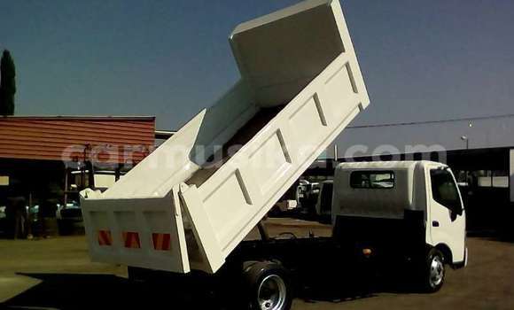 Tenga Tsaru Hino 300 Chena Rori in Beitbridge in Matabeleland South Tenga Tsaru Hino 300 Chena Rori in Beitbridge in Matabeleland South