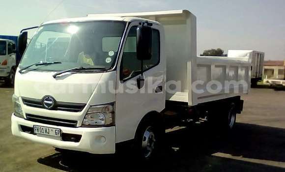 Tenga Tsaru Hino 300 Chena Rori in Beitbridge in Matabeleland South Tenga Tsaru Hino 300 Chena Rori in Beitbridge in Matabeleland South