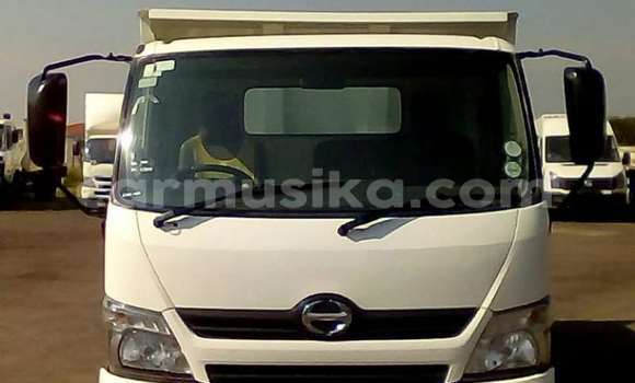 Tenga Tsaru Hino 300 Chena Rori in Beitbridge in Matabeleland South Tenga Tsaru Hino 300 Chena Rori in Beitbridge in Matabeleland South