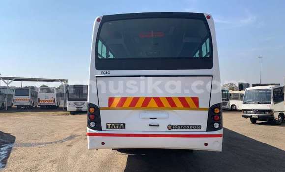 Acheter Occasion Voiture TATA Indica Blanc à Beitbridge, Matabeleland South Acheter Occasion Voiture TATA Indica Blanc à Beitbridge, Matabeleland South