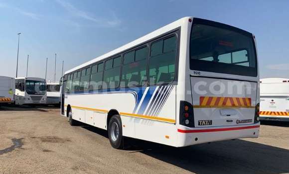 Acheter Occasion Voiture TATA Indica Blanc à Beitbridge, Matabeleland South Acheter Occasion Voiture TATA Indica Blanc à Beitbridge, Matabeleland South