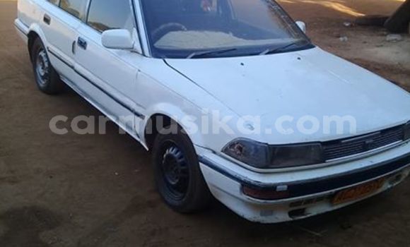 Buy Used Toyota Corolla White Car in Chegutu in Mashonaland West Buy Used Toyota Corolla White Car in Chegutu in Mashonaland West
