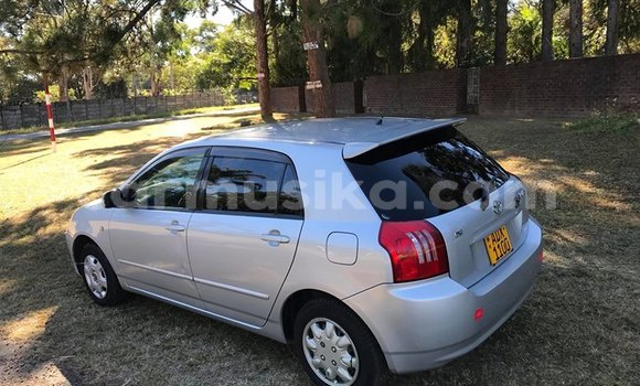 Buy Used Toyota Runx Silver Car in Harare in Harare Buy Used Toyota Runx Silver Car in Harare in Harare