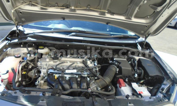 Acheter Occasion Voiture Toyota Corolla Gris à Beitbridge, Matabeleland South Acheter Occasion Voiture Toyota Corolla Gris à Beitbridge, Matabeleland South