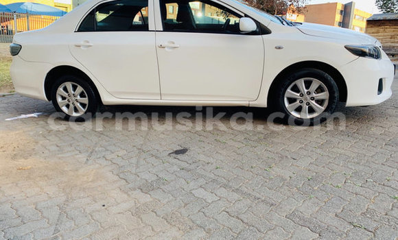 Tenga Tsaru Toyota Corolla Chena Mota in Beitbridge in Matabeleland South Tenga Tsaru Toyota Corolla Chena Mota in Beitbridge in Matabeleland South