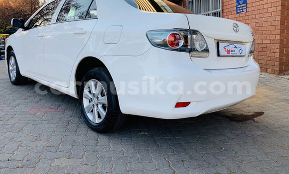 Tenga Tsaru Toyota Corolla Chena Mota in Beitbridge in Matabeleland South Tenga Tsaru Toyota Corolla Chena Mota in Beitbridge in Matabeleland South