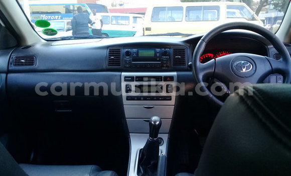 Nunua Ilio tumika Toyota Runx Nyeupe Gari ndani ya Beitbridge nchini Matabeleland Kusini Nunua Ilio tumika Toyota Runx Nyeupe Gari ndani ya Beitbridge nchini Matabeleland Kusini