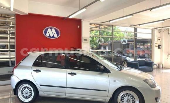 Buy Used Toyota Runx Other Car in Beitbridge in Matabeleland South Buy Used Toyota Runx Other Car in Beitbridge in Matabeleland South