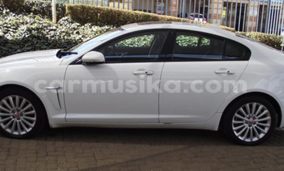 Acheter Occasion Voiture Jaguar XFR Blanc à Beitbridge, Matabeleland South Acheter Occasion Voiture Jaguar XFR Blanc à Beitbridge, Matabeleland South