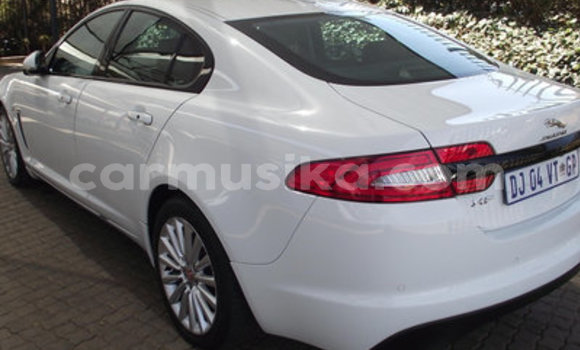 Acheter Occasion Voiture Jaguar XFR Blanc à Beitbridge, Matabeleland South Acheter Occasion Voiture Jaguar XFR Blanc à Beitbridge, Matabeleland South
