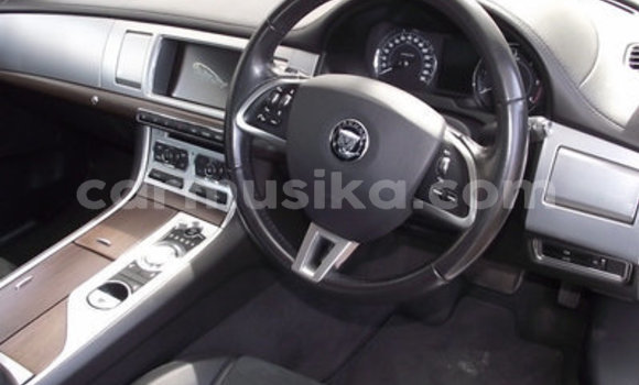 Acheter Occasion Voiture Jaguar XFR Blanc à Beitbridge, Matabeleland South Acheter Occasion Voiture Jaguar XFR Blanc à Beitbridge, Matabeleland South