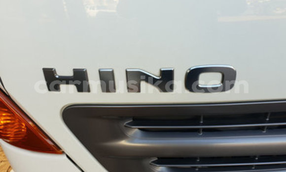 Buy Used Hino 300 Series White Truck in Beitbridge in Matabeleland South Buy Used Hino 300 Series White Truck in Beitbridge in Matabeleland South