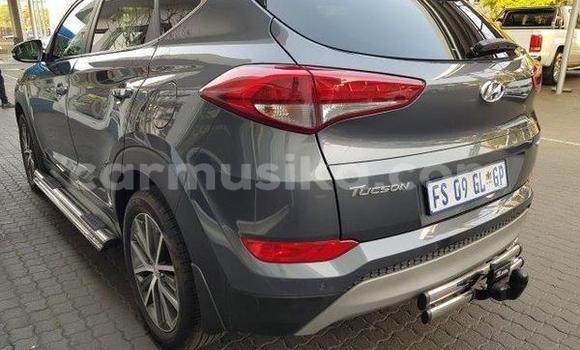 Tenga Tsaru Hyundai Tucson Tsvuku Mota in Beitbridge in Matabeleland South Tenga Tsaru Hyundai Tucson Tsvuku Mota in Beitbridge in Matabeleland South