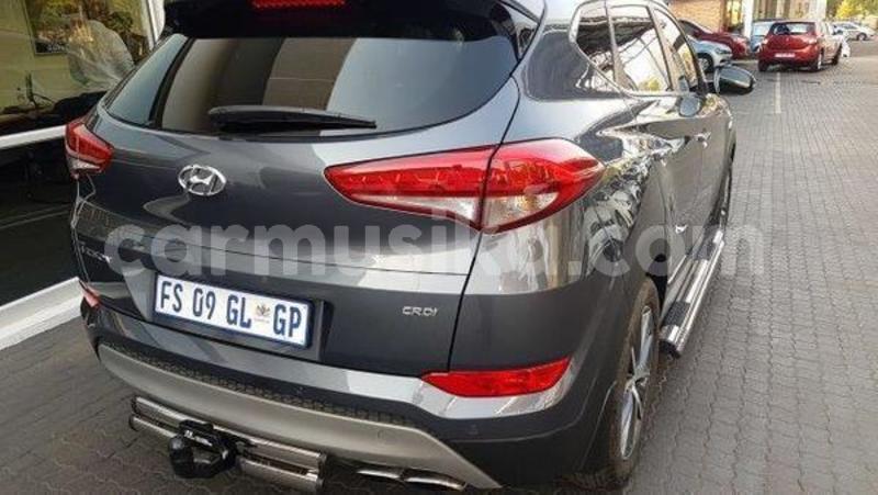 Big with watermark hyundai tucson matabeleland south beitbridge 7988