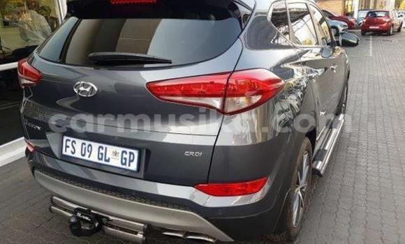 Tenga Tsaru Hyundai Tucson Tsvuku Mota in Beitbridge in Matabeleland South Tenga Tsaru Hyundai Tucson Tsvuku Mota in Beitbridge in Matabeleland South