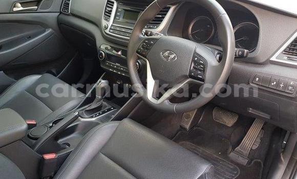 Tenga Tsaru Hyundai Tucson Tsvuku Mota in Beitbridge in Matabeleland South Tenga Tsaru Hyundai Tucson Tsvuku Mota in Beitbridge in Matabeleland South