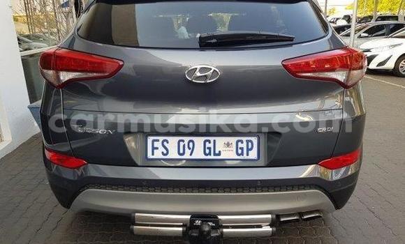 Tenga Tsaru Hyundai Tucson Tsvuku Mota in Beitbridge in Matabeleland South Tenga Tsaru Hyundai Tucson Tsvuku Mota in Beitbridge in Matabeleland South