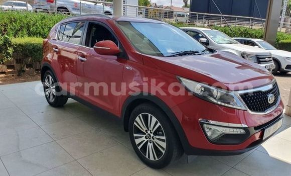 Tenga Tsaru Kia Sportage Tsvuku Mota in Beitbridge in Matabeleland South Tenga Tsaru Kia Sportage Tsvuku Mota in Beitbridge in Matabeleland South