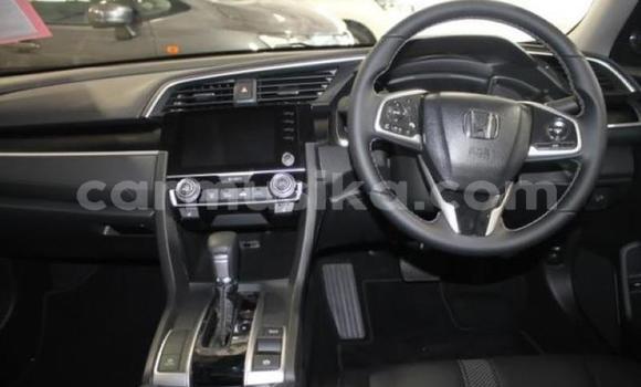 Tenga Tsaru Honda Civic Bhuruu Mota in Beitbridge in Matabeleland South Tenga Tsaru Honda Civic Bhuruu Mota in Beitbridge in Matabeleland South