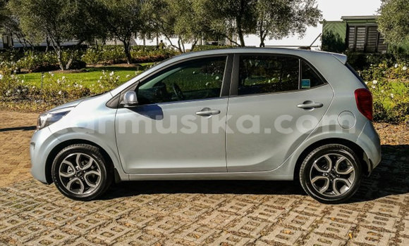Tenga Tsaru Kia Picanto Sirivha Mota in Beitbridge in Matabeleland South Tenga Tsaru Kia Picanto Sirivha Mota in Beitbridge in Matabeleland South