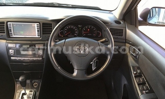 Nunua Ilio tumika Toyota Runx Fedha Gari ndani ya Beitbridge nchini Matabeleland Kusini Nunua Ilio tumika Toyota Runx Fedha Gari ndani ya Beitbridge nchini Matabeleland Kusini