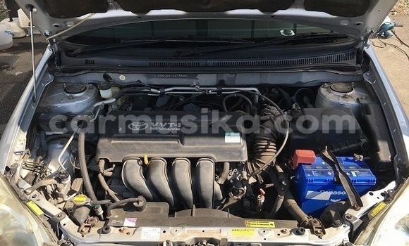 Nunua Ilio tumika Toyota Runx Fedha Gari ndani ya Beitbridge nchini Matabeleland Kusini Nunua Ilio tumika Toyota Runx Fedha Gari ndani ya Beitbridge nchini Matabeleland Kusini