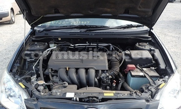 Nunua Ilio tumika Toyota Runx Nyeusi Gari ndani ya Beitbridge nchini Matabeleland Kusini Nunua Ilio tumika Toyota Runx Nyeusi Gari ndani ya Beitbridge nchini Matabeleland Kusini