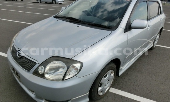 Acheter Occasion Voiture Toyota Runx Bleu à Beitbridge, Matabeleland South Acheter Occasion Voiture Toyota Runx Bleu à Beitbridge, Matabeleland South
