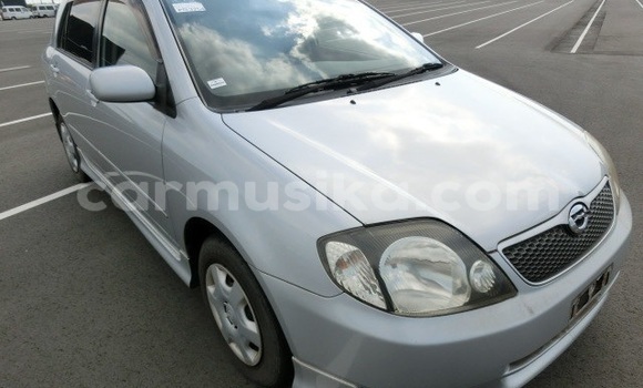 Acheter Occasion Voiture Toyota Runx Bleu à Beitbridge, Matabeleland South Acheter Occasion Voiture Toyota Runx Bleu à Beitbridge, Matabeleland South