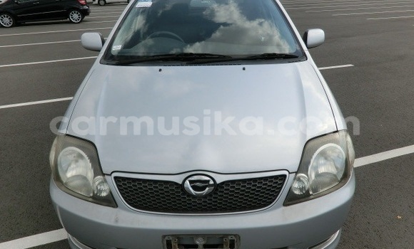 Acheter Occasion Voiture Toyota Runx Bleu à Beitbridge, Matabeleland South Acheter Occasion Voiture Toyota Runx Bleu à Beitbridge, Matabeleland South