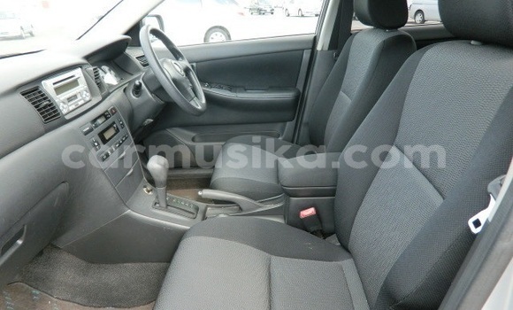 Acheter Occasion Voiture Toyota Runx Bleu à Beitbridge, Matabeleland South Acheter Occasion Voiture Toyota Runx Bleu à Beitbridge, Matabeleland South