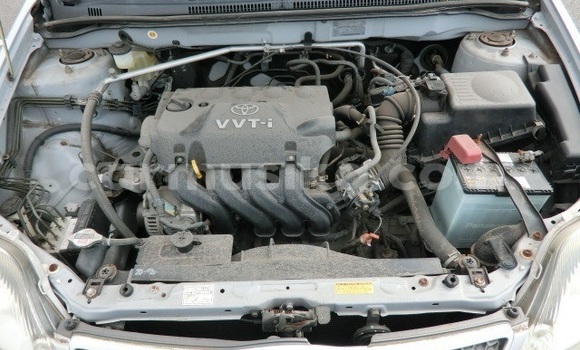 Acheter Occasion Voiture Toyota Runx Bleu à Beitbridge, Matabeleland South Acheter Occasion Voiture Toyota Runx Bleu à Beitbridge, Matabeleland South