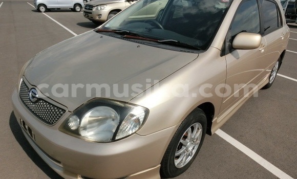 Acheter Occasion Voiture Toyota Runx Marron à Beitbridge, Matabeleland South Acheter Occasion Voiture Toyota Runx Marron à Beitbridge, Matabeleland South