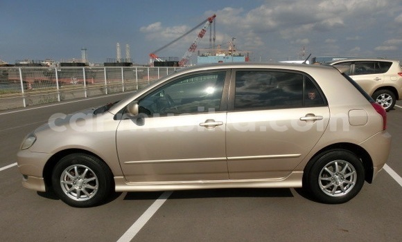 Acheter Occasion Voiture Toyota Runx Marron à Beitbridge, Matabeleland South Acheter Occasion Voiture Toyota Runx Marron à Beitbridge, Matabeleland South