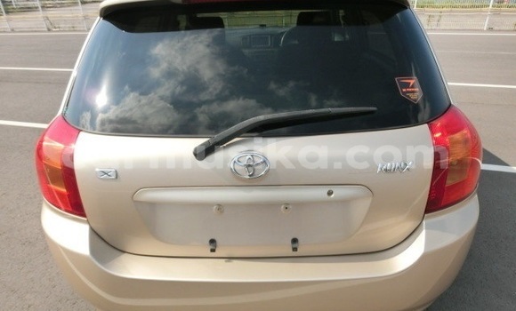 Acheter Occasion Voiture Toyota Runx Marron à Beitbridge, Matabeleland South Acheter Occasion Voiture Toyota Runx Marron à Beitbridge, Matabeleland South
