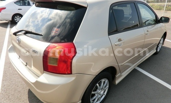 Acheter Occasion Voiture Toyota Runx Marron à Beitbridge, Matabeleland South Acheter Occasion Voiture Toyota Runx Marron à Beitbridge, Matabeleland South