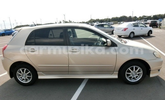 Acheter Occasion Voiture Toyota Runx Marron à Beitbridge, Matabeleland South Acheter Occasion Voiture Toyota Runx Marron à Beitbridge, Matabeleland South