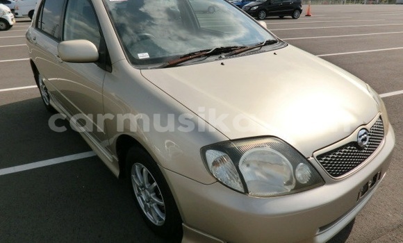 Acheter Occasion Voiture Toyota Runx Marron à Beitbridge, Matabeleland South Acheter Occasion Voiture Toyota Runx Marron à Beitbridge, Matabeleland South
