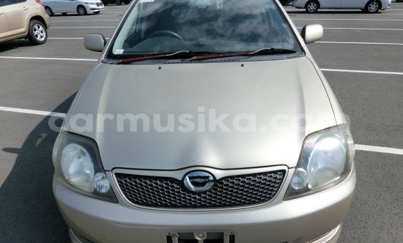 Acheter Occasion Voiture Toyota Runx Marron à Beitbridge, Matabeleland South Acheter Occasion Voiture Toyota Runx Marron à Beitbridge, Matabeleland South