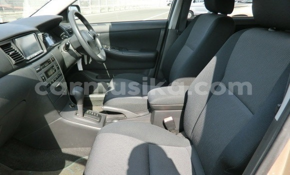 Acheter Occasion Voiture Toyota Runx Marron à Beitbridge, Matabeleland South Acheter Occasion Voiture Toyota Runx Marron à Beitbridge, Matabeleland South