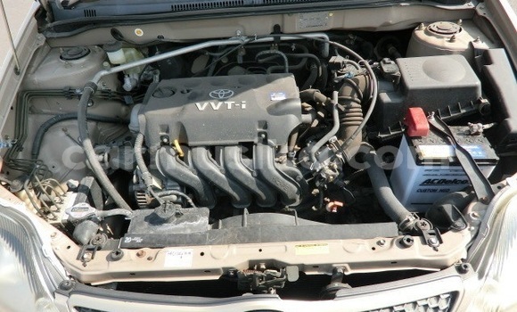 Acheter Occasion Voiture Toyota Runx Marron à Beitbridge, Matabeleland South Acheter Occasion Voiture Toyota Runx Marron à Beitbridge, Matabeleland South