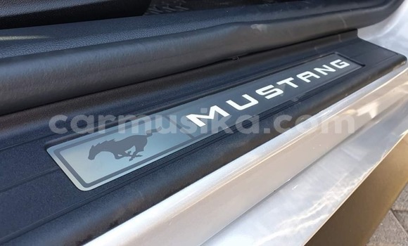 Buy Used Ford Mustang Silver Car in Harare in Harare Buy Used Ford Mustang Silver Car in Harare in Harare