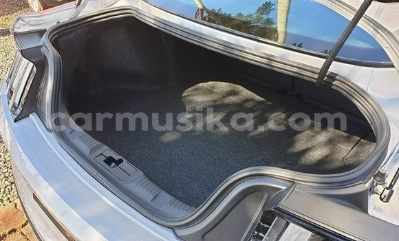 Buy Used Ford Mustang Silver Car in Harare in Harare Buy Used Ford Mustang Silver Car in Harare in Harare