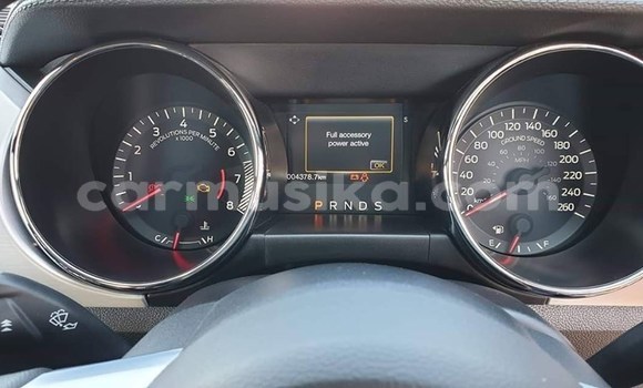 Buy Used Ford Mustang Silver Car in Harare in Harare Buy Used Ford Mustang Silver Car in Harare in Harare