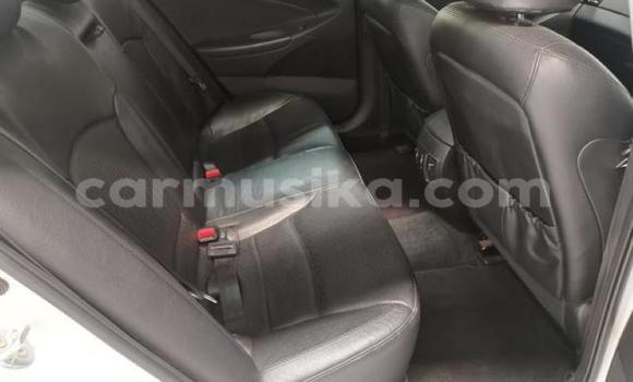 Acheter Occasion Voiture Hyundai Sonata Blanc à Beitbridge, Matabeleland South Acheter Occasion Voiture Hyundai Sonata Blanc à Beitbridge, Matabeleland South