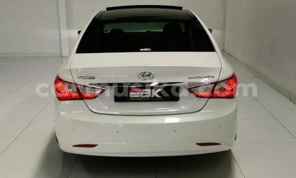 Acheter Occasion Voiture Hyundai Sonata Blanc à Beitbridge, Matabeleland South Acheter Occasion Voiture Hyundai Sonata Blanc à Beitbridge, Matabeleland South