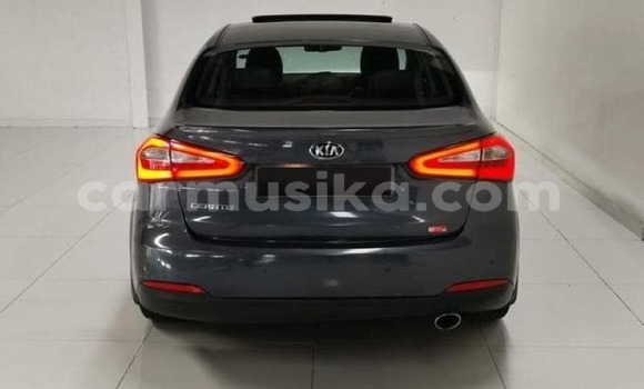 Tenga Tsaru Kia Cerato Beige Mota in Harare in Harare Tenga Tsaru Kia Cerato Beige Mota in Harare in Harare