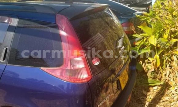 Nunua Ilio tumika Peugeot 206 Bluu Gari ndani ya Harare nchini Harare