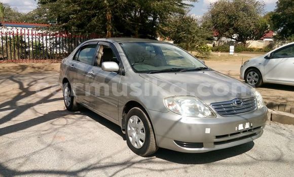 Acheter Occasion Voiture Toyota Corolla Autre à Harare, Harare Acheter Occasion Voiture Toyota Corolla Autre à Harare, Harare