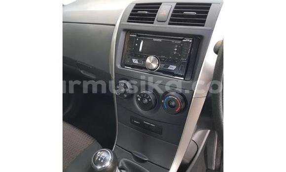 Acheter Occasion Voiture Toyota Corolla Blanc à Beitbridge, Matabeleland South Acheter Occasion Voiture Toyota Corolla Blanc à Beitbridge, Matabeleland South